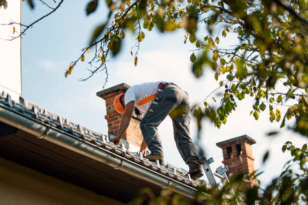 Best Storm Damage Roof Repair  in Taft, FL