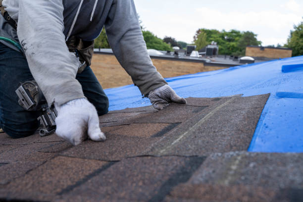 Best Roof Gutter Cleaning  in Taft, FL